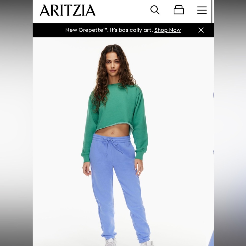 Aritzia TNA sweatpants